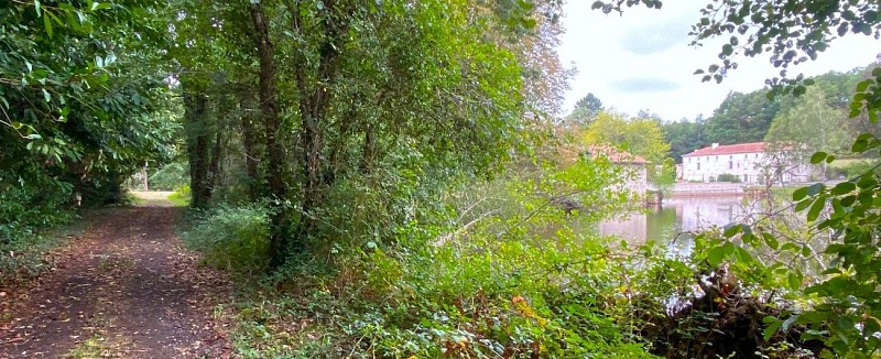 ETOUARS-Boucle d'Etouars-Chemin