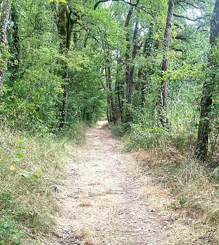 SORGES-Boucle des Puits-Chemin