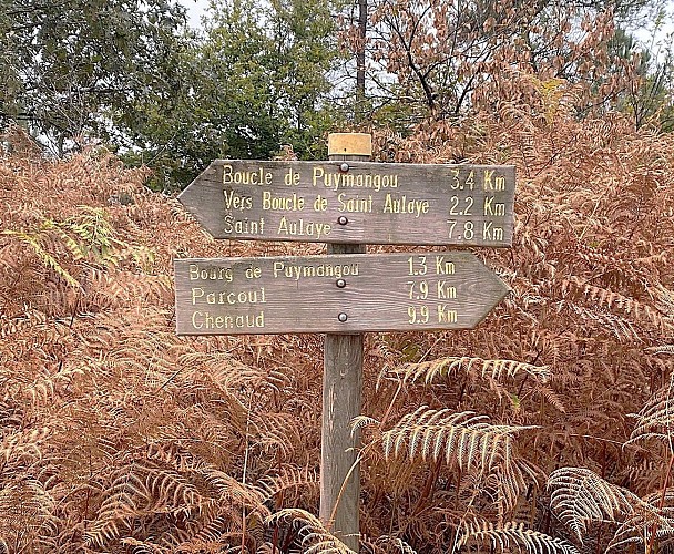 SAINT-AULAYE-PUYMANGOU-Boucle de Puymangou-Signalétique