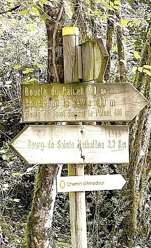 SAINT-VINCENT-LE-PALUEL-Boucle de la Salvie-Signalétrique 2