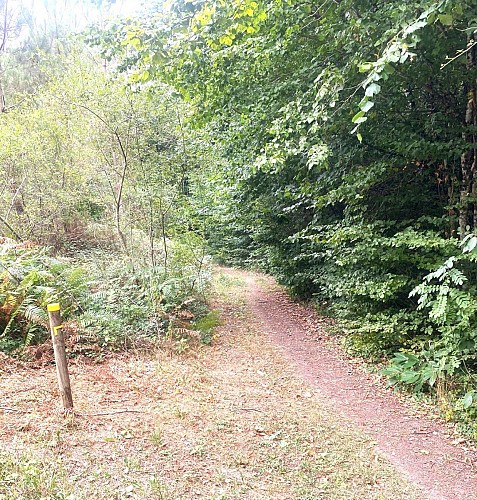 SORGES-Boucle des chateaux-Chemin 2