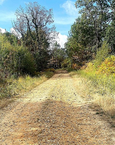 SAINT-MARTIN DE GURSON-Boucle de Plagnac-Chemin