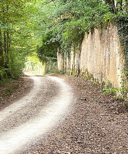 SORGES-Boucle des Murailles-Chemin