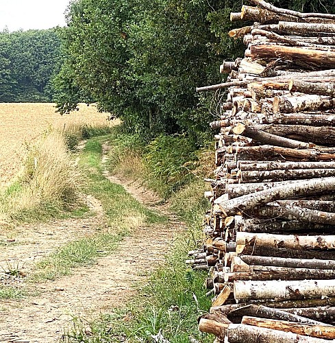 FIRBEIX-Boucle des forges-chemin