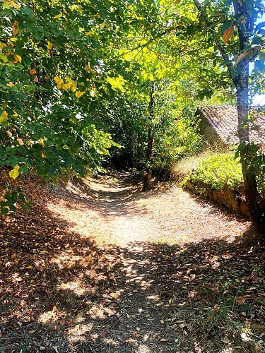 SAINT ESTEPHE-Boucle de Ligneras-Chemin