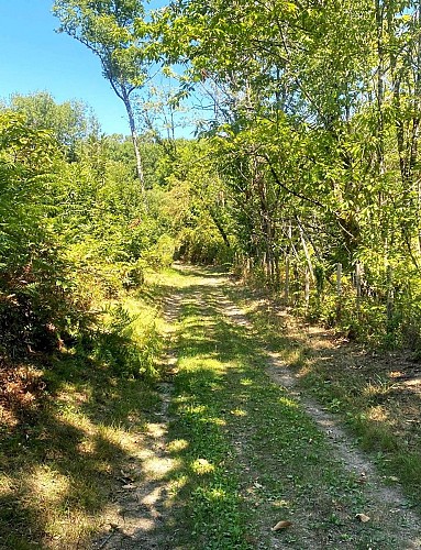 SAINT ESTEPHE-Boucle des Malibas-Chemin 2