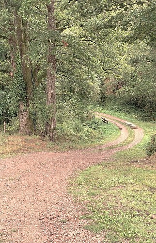 BUSSIERE-BADIL-Boucle du Banaret-Chemin