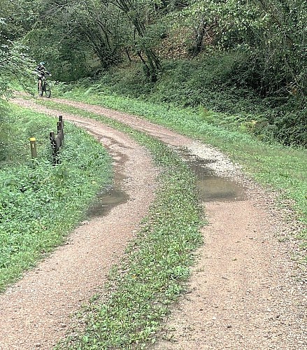 BUSSIERE-BADIL-Boucle du Banaret-Chemin-Vététistes