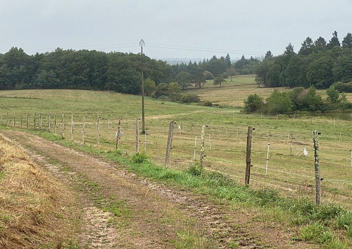 CHAMPNIERS-ET-REILHAC-Boucle de l'Albine-Chemin