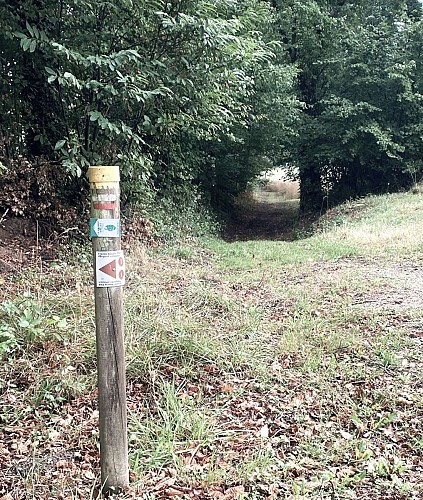 SAINT-SAUD-LACOUSSIERE-Boucle de la Valade-Chemin-Poteau