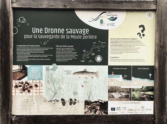 SAINT-SAUD-LACOUSSIERE-Boucle de la Valade-Info Dronne