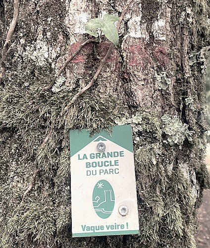 SAINT-SAUD-LACOUSSIERE-Boucle de la Valade-Info Parc