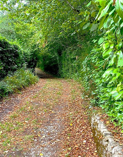 SAINT-SAUD-LACOUSSIERE-Boucle du Tacot-Chemin 2