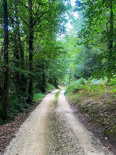 SAINT-SAUD-LACOUSSIERE-Boucle du Tacot-Chemin 3