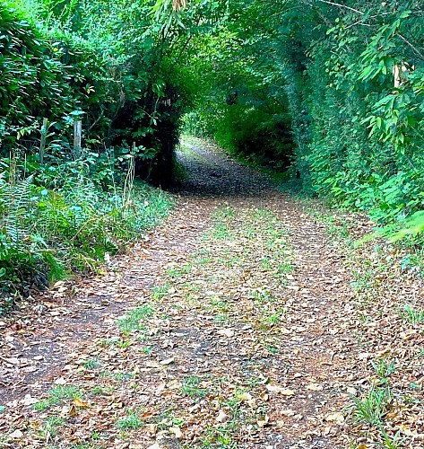 SAINT-SAUD-LACOUSSIERE-Boucle du Tacot-Chemin