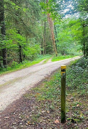 SAINT-SAUD-LACOUSSIERE-Boucle du Tacot-Chemin-Poteau