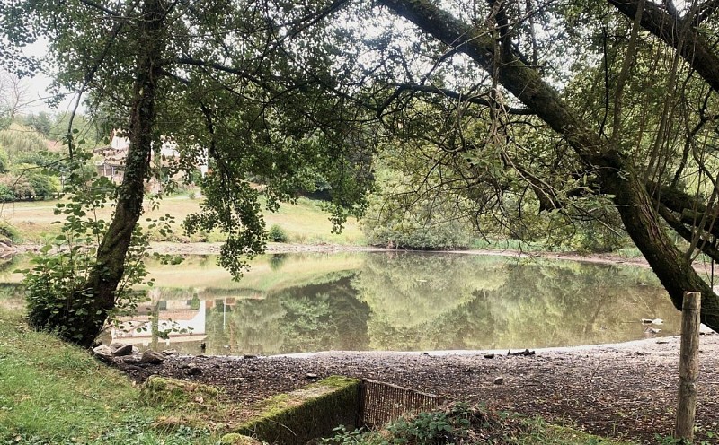 SAINT-SAUD-LACOUSSIERE-Boucle du Tacot-Plan d'eau