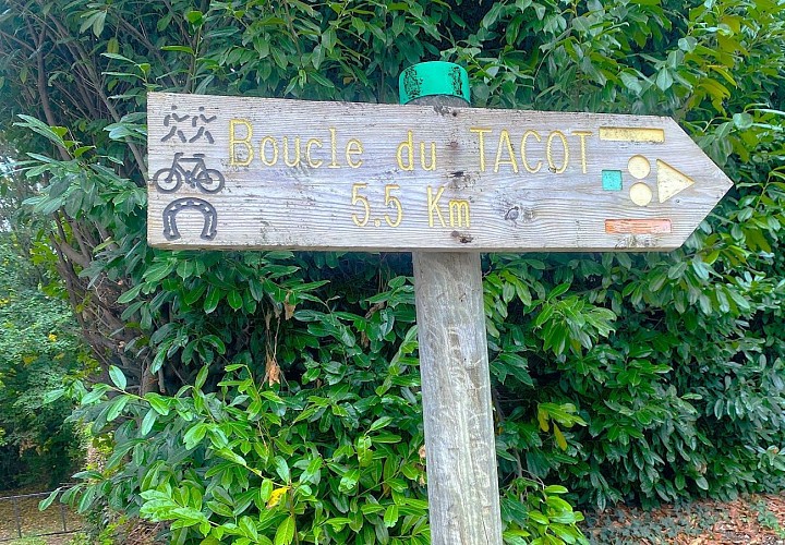 SAINT-SAUD-LACOUSSIERE-Boucle du TAcot-Signalétique
