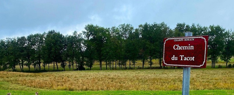 CHAMPS-ROMAIN-Boucle du Tacot-Panneau