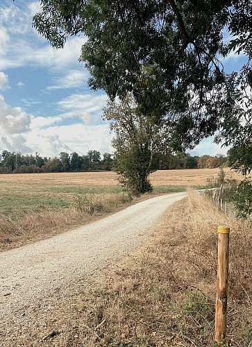 BOURG DU BOST-boucle de Bourg du Bost-Chemin-Poteau 2