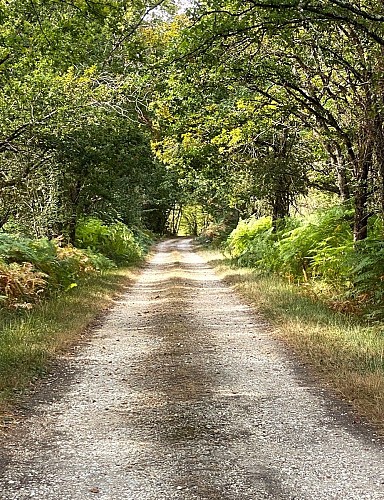 BOURG DU BOST-boucle de Bourg du Bost-Chemin