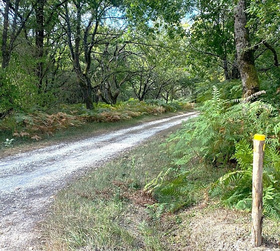 BOURG DU BOST-boucle de Bourg du Bost-Chemin-Poteau