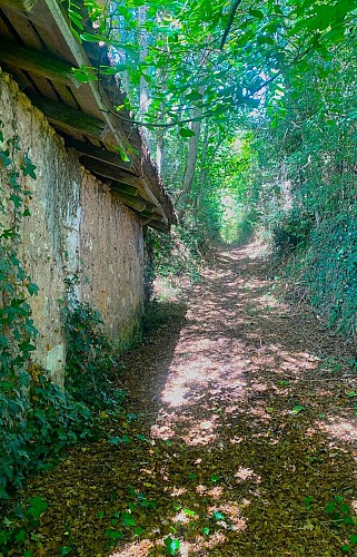 SAINT VINCENT DE CONNEZAC-Boucle de Pradelou-Chemin
