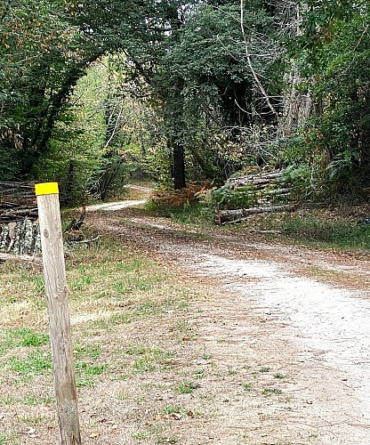 SAINT VINCENT DE CONNEZAC-Boucle du Grand Claud-Chemin-Poteau