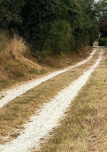PONTEYRAUD-boucle du Bois de Jalineau-Chemin
