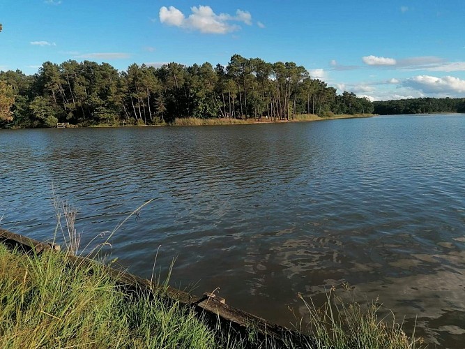 Etang de la Jemaye (3)