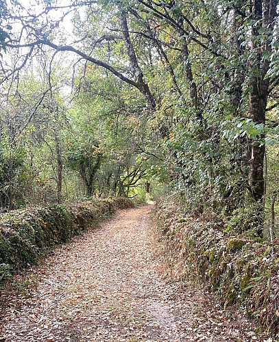PAUSSAC SAINT VIVIEN-Boucle de la Verrerie-Chemin