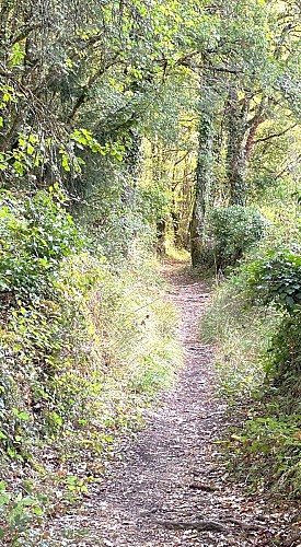 PAUSSAC SAINT VIVIEN-Boucle du Boulou-Chemin 2