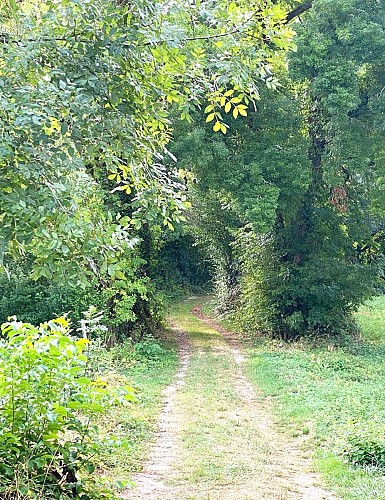 PAUSSAC SAINT VIVIEN-Boucle du Boulou-Chemin