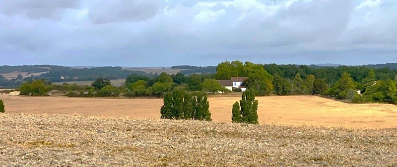 COUTURES-Boucle de Coutures-Champs