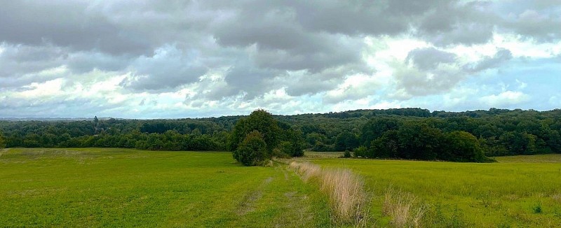 HAUTEFAYE-Boucle du Clos Neuf-Chemin 2