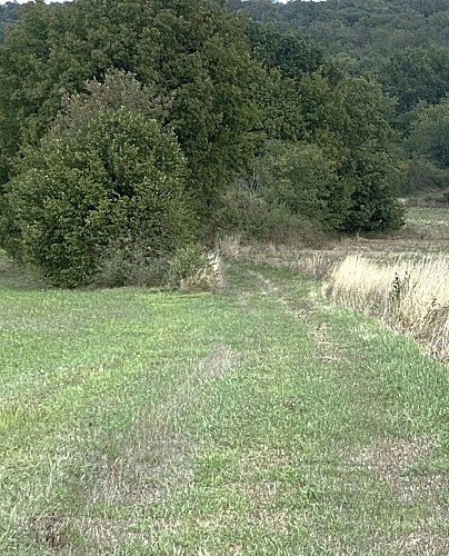 HAUTEFAYE-Boucle du Clos Neuf-Chemin