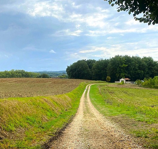 CONNEZAC-Boucle de Connezac-Chemin