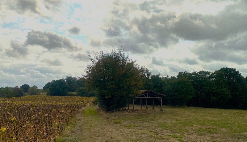 LA CHAPELLE-SAINT-ROBERT-Boucle Romane-Chemin