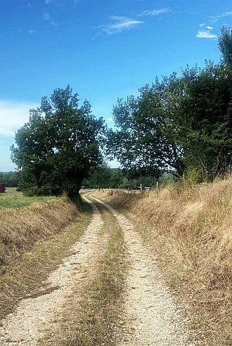 LUSSAS-ET-NONTRONNEAU-Boucle des Beusses-Chemin