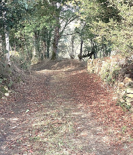 LUSSAS-ET-NONTRONNEAU-Boucle de Mauvy-Chemin 2