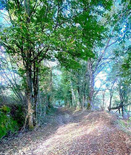 LUSSAS-ET-NONTRONNEAU-Boucle de Mauvy-Chemin