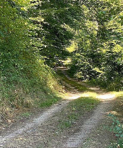 SAVIGNAC DE NONTRON-Boucle des cheyroux-Chemin 2