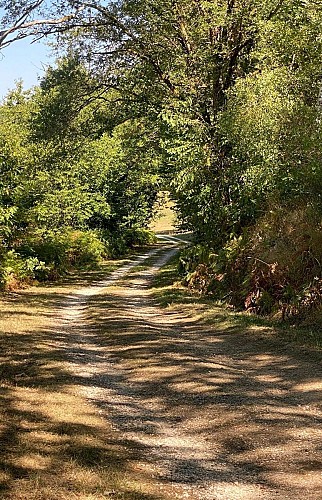 SAVIGNAC DE NONTRON-Boucle des cheyroux-Chemin
