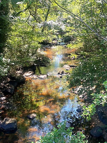 SAVIGNAC DE NONTRON-Boucle du Bandiat-Rivière