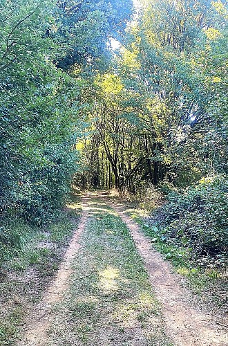 SAINT MARTIAL DE VALETTE-Boucle de Chabans-Chemin