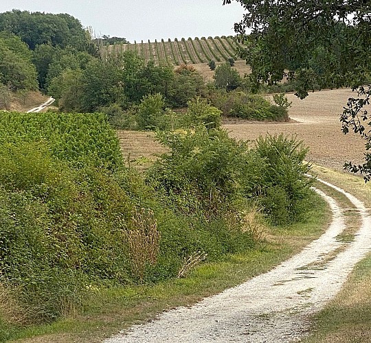 SAINT-JULIEN D'EYMET-Boucle du Pas de l'Âne-Chemin 2
