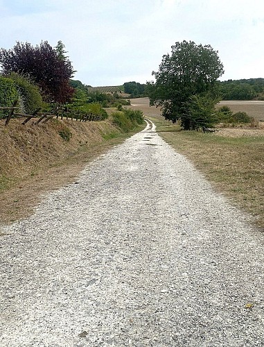 SAINT-JULIEN D'EYMET-Boucle du Pas de l'Âne-Chemin