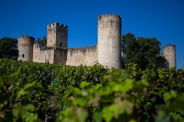 Château de Budos@David Remazeilles