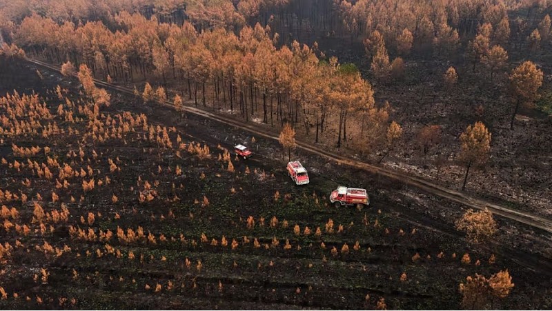 Vue aérienne sur les incendies