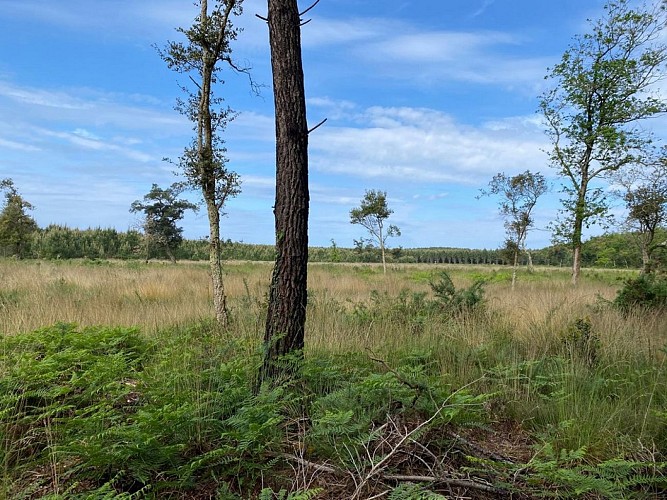 sentier-balise-messanges-rando